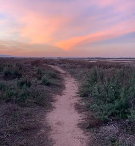 Meet your Posher, Kathryn